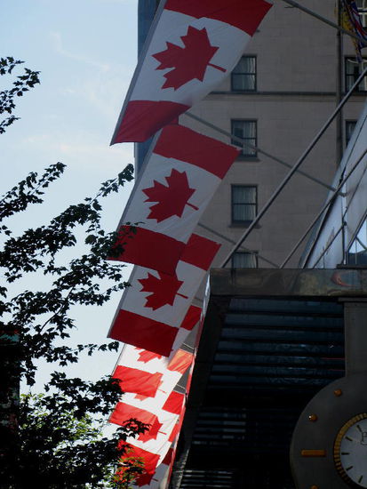 Tags darauf fahren wir mit dem Bus in die Stadt...; zuerst jedoch muss die Haltestelle gefunden werden...; dann sollte auch noch genug "Münz" bereit gehalten werden...; na ja, eine Note wollte der Chauffeur nicht...! Mitten in der Stadt meinte er, wir sollen hier aussteigen und drückt uns ein Busbillet verschmitzt lächelnd in die Hand...; wir bedanken uns ganz herzlich für diese grosszügige Geste... (wenn's doch überall so freundlich wär...!)