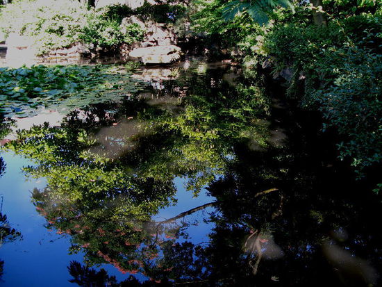 Spiegelein, Spiegelein...