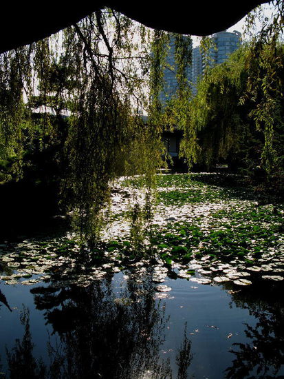 Leider sind wir anschliessend in eine offene Drogenszene geraten...; per Bus haben wir schleunigst das Weite gesucht...!