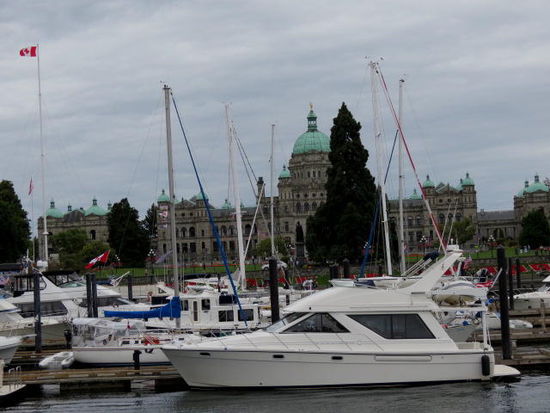 Im Hafen...