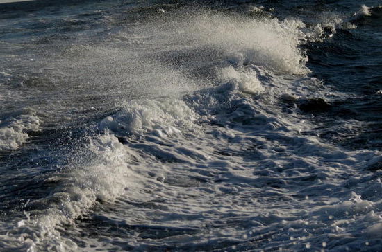 Fazit des 3 1/2 stündigen Ausflugs: - rasante Bootsfahrt...; 1 Stunde überzogen...; Wale, Seehunde und Seelöwen gesehen...;
Allerdings - am nächsten Tag leichte Kopfschmerzen (leichte Hirnerschütterung) von den vielen, heftigen Aufschlägen des Schnellbootes auf die Wellen... (inzwischen ist alles wieder ok...!)