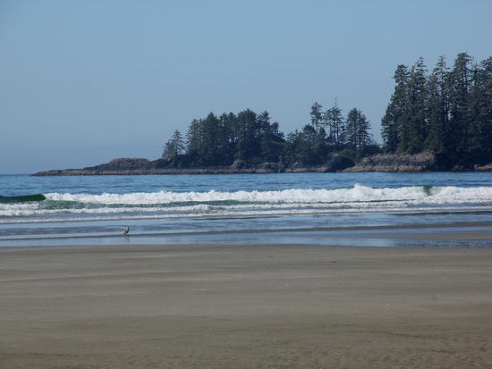 Für die Long Beach braucht es nicht grosse Erklärungen...