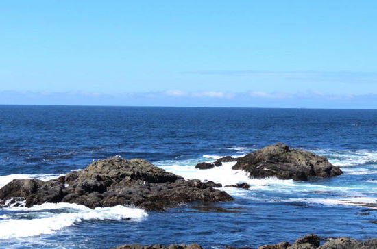 Wir geniessen die schöne Aussicht und kehren zurück zum Auto...und fahren weiter, quer über Vancouver Island...