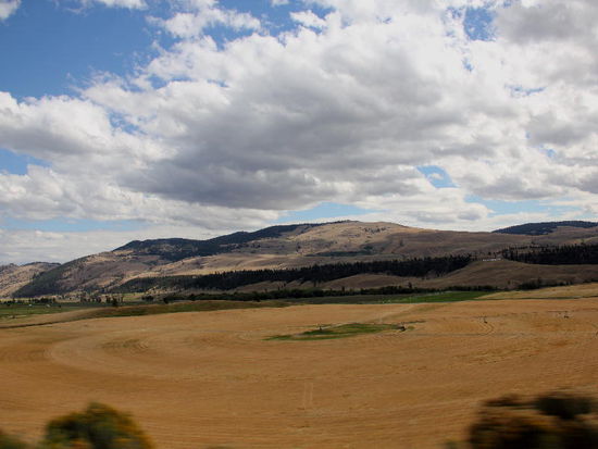 Kreisrunde Felder... ; sie werden so bewässert...