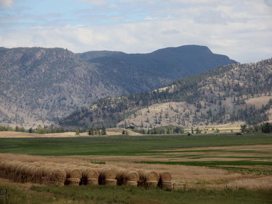 Gestapelter Futtervorrat...