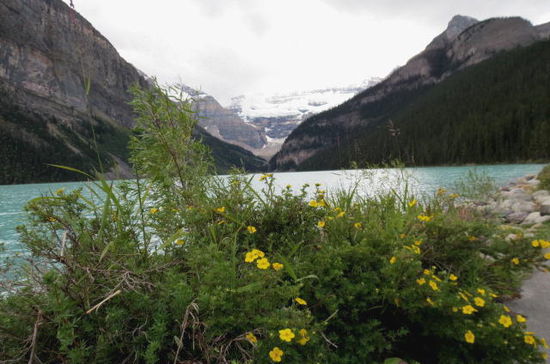 Der Rummel ist uns zu gross, wir verabschieden uns von Lake Louise und fahren südlich...