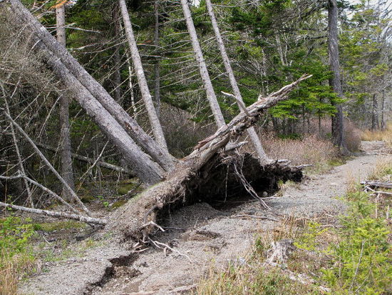 Die Kraft der Stürme