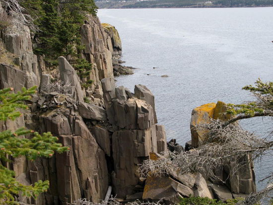 Und wieder geht's die 268 Stufen hinauf und zurück zum Leomobil... In Digby selber besuchen wir ein Café um uns zu stärken...