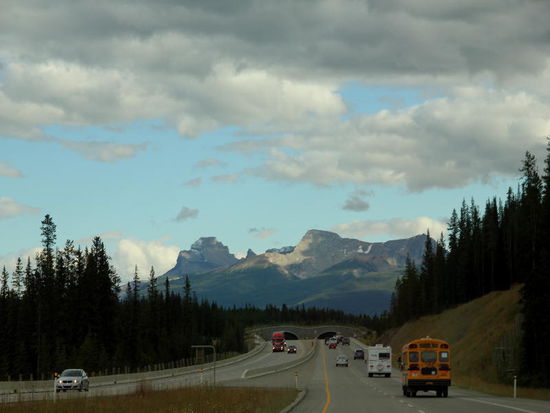 So haben auch wir die Verkehrssituation angetroffen...; hinten im Bild die Übergänge für die Tiere...