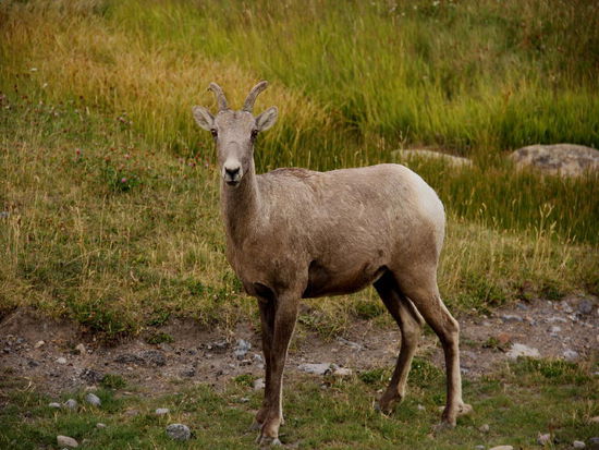 Richtig spannnend...