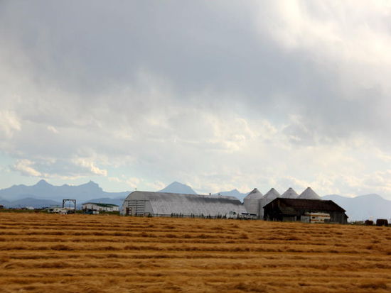 Grosse Farmen tauchen auf... - wir sind in der Prärie...