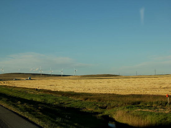 Abgeerntete Getreidefelder....