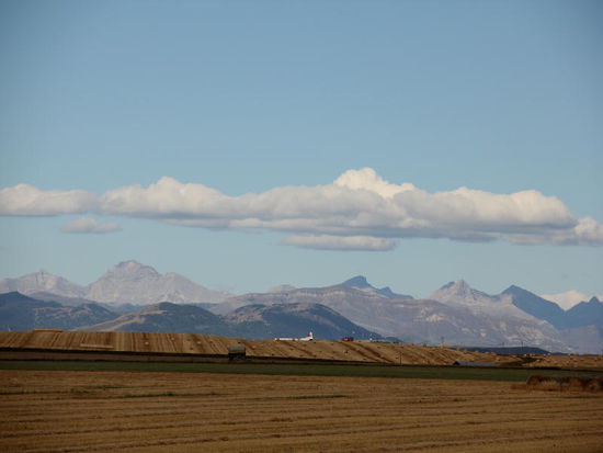 Es ist nicht so, dass Pincher Creek es uns speziell angetan wäre, aber wo Walmart, da MacDonald und wo Mac, da gute i-net-Verbindung...; also fahren wir nochmals zurück... und checken unsere Mails und schreiben noch Postkarten...