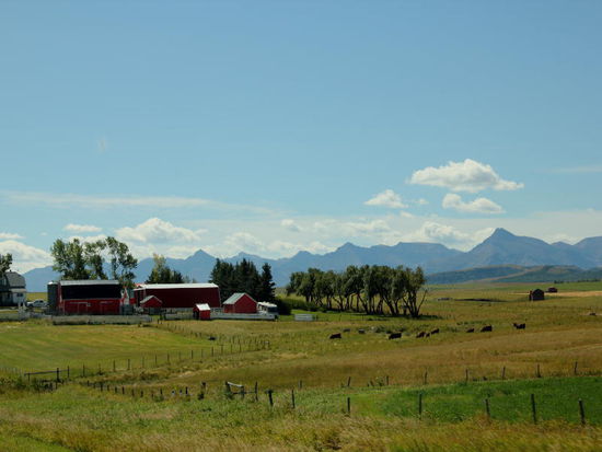 Wir fahren weiter durch die herrliche, landwirtschaftlich geprägte Landschaft...