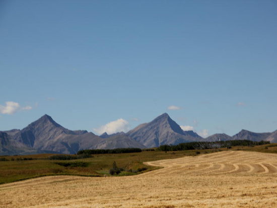 Vieles ist abgeerntet...