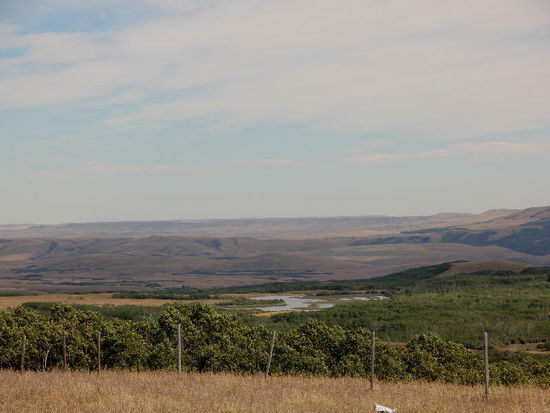 USA oder noch Kanada...?