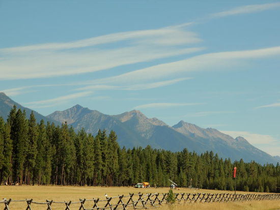 Bei den Weiden lange Zäune...