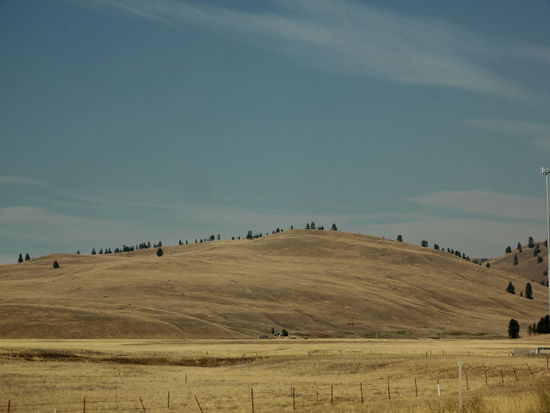 Die Bauern hier warten auf Regen...