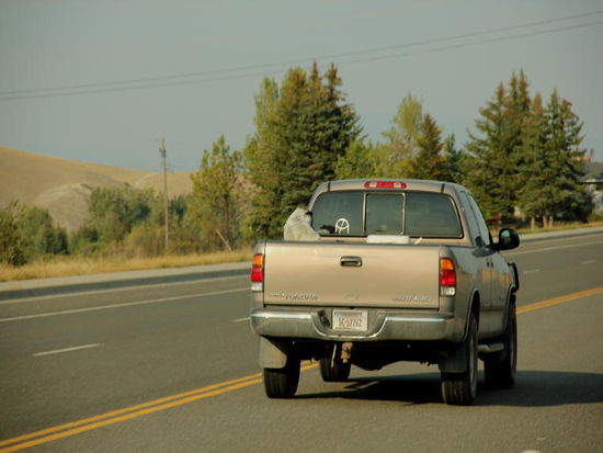 Ihn scheint das wenig zu stören - im Gegenteil, er schaut mal hier und mal da...