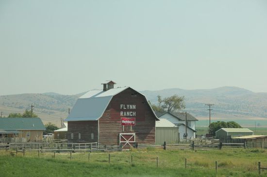 Noch sind wir in Montana...; wir fahren Richtung Yellowstone NP...