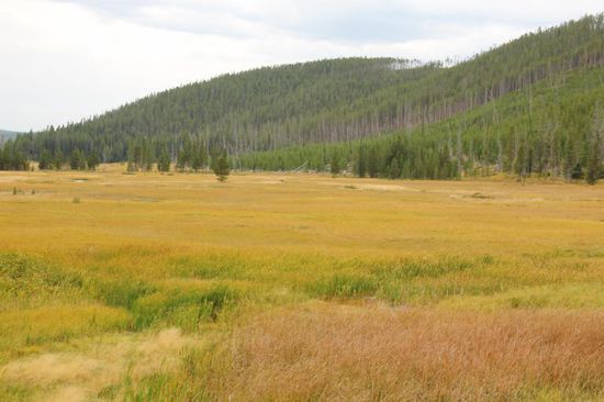 Wir fahren weiter....