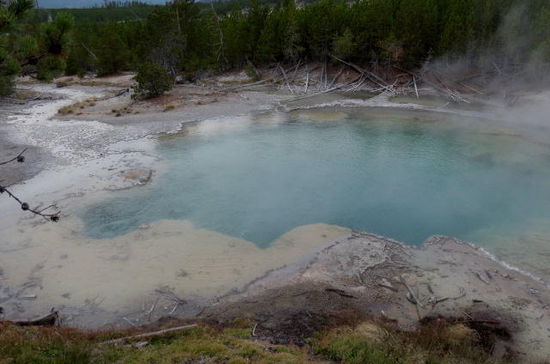Ein Stück weiter beim Norris Geyser Basin...
