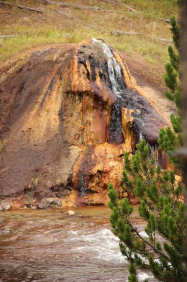 Unglaublich, was die Natur "einfach so" hervorbringt...