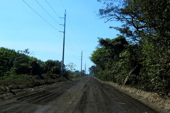 ...und riesigen Zuckerrohrfeldern