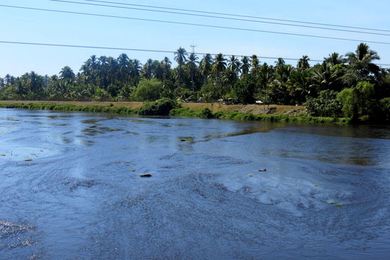 Wasser gibt es zur Genüge hier!