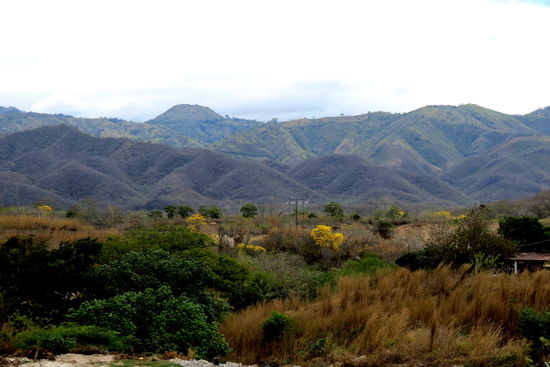 Foto-Stopp unterwegs!