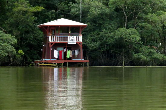 For sale - auch das gibt es hier am Rio Dulce!