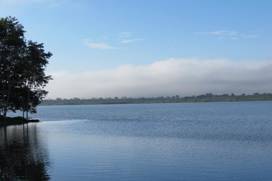 Fantastisch - und langsam setzt das Vogelgezwitscher ein
