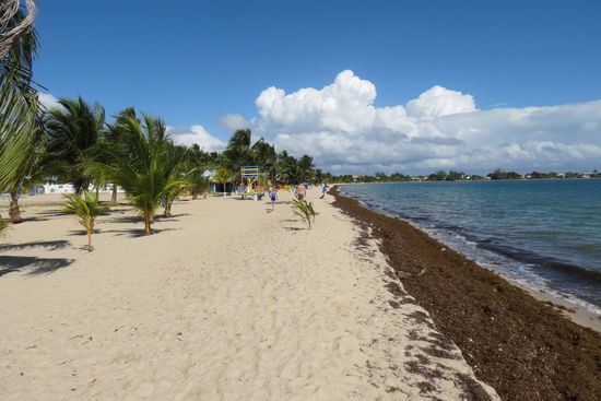 ...doch bei genauerem Hinsehen vergeht einem die Lust am Schwimmen!