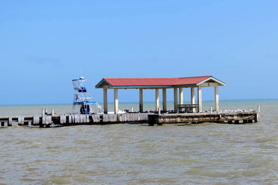 Ab Belize City gehen auch die Schiffe nach Caye Caulker, Ambergis Caye und San Pedro. Nach dem Barrier Riff in Australien ist in dieser Gegend das zweitgrösste Riff der Welt. Da ich nicht tauche und nur wenig schnorchle, fahre ich weiter zu einem Naturschutzgebiet Crooked Tree. Das ist ein Vogelschutzgebiet, wo viele Zugvögel einen Zwischenstopp einlegen.