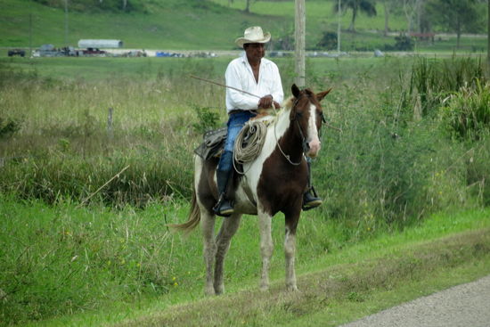 Und der Viehhirte hoch zu Pferd