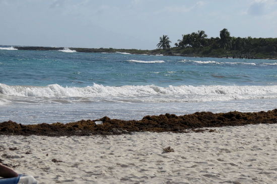 Leider hat es sehr viel Seegras angeschwemmt, aber wenn man etwas hinausschwimmt, ist das kein Problem mehr