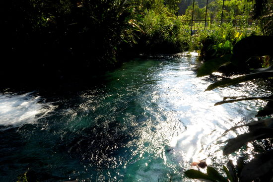 Und hier ist der Einstieg zum Schwimmen