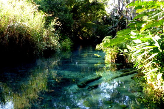 Ein unvergessliches Erlebnis, in einer so tollen Umgebung schwimmen zu dürfen