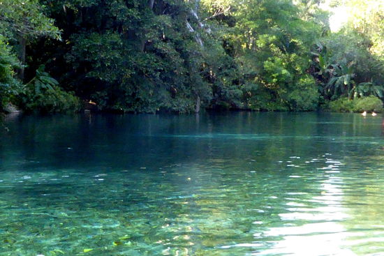 Das glasklare Wasser lässt den Flussgrund bestaunen