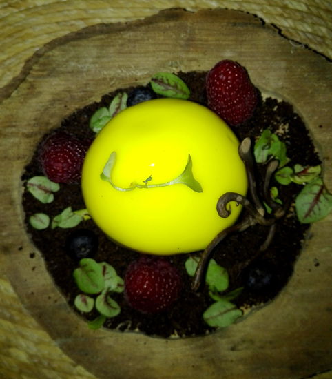 Zum Dessert - ein Litchi-Mousse! Extraklasse!!!