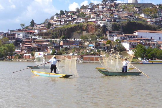 Flugs rudern sie dann zu den Booten, um ihren Obulus zu kassieren.