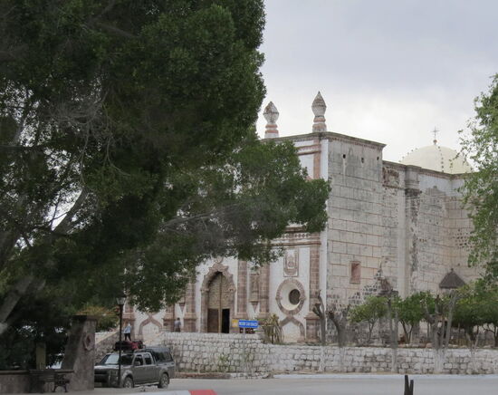 Der Zocaló mit den ausladenden Lorbeerbäumen