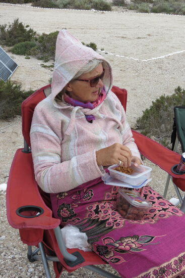 Marianne recht dick verpackt - ein steifer Nordwind weht, die gefühlte Temperatur ist merklich gesunken