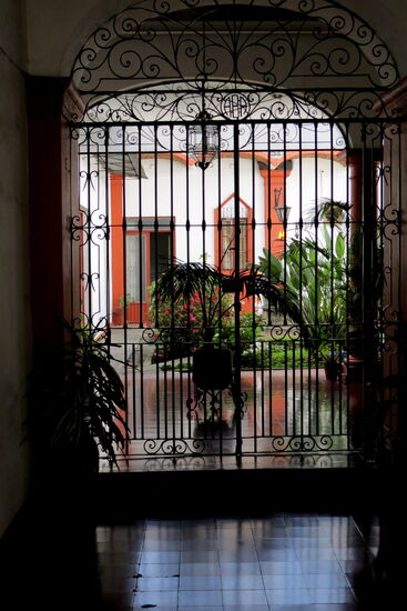 Wie immer in Mexico erheischen wir zwischendurch Blicke in sehr gepflegte Gärten und Patios