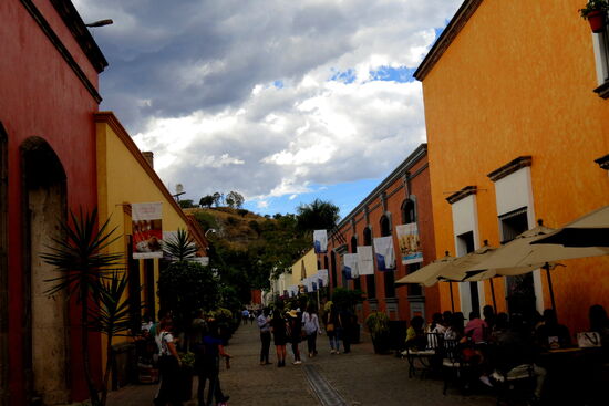 Ganze Busladungen von Menschen bevölkern die Stadt und besuchen die Tequila-Brennereien.