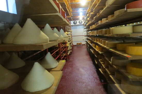 Chava, der Käser fliegt regelmässig in die Schweiz, um sich in Sachen Käse auf den neusten Stand zu bringen. Er war u.a. in der Schweiz, in Frankreich, Italien und Holland
