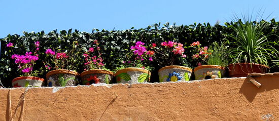 … erkennt viele sonst ungesehene Schätze!