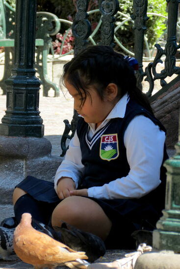 Das Spiel mit den Tauben - füttern gehört bei Kindern dazu!