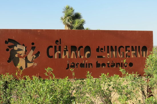 Per Taxi geht es in den tollen Botanischen Garten. Hier sind vor allem Kakteen und Pflanzen, welche auf den trockenen Böden wachsen. Der Garten dient zudem dem Erhalt der Wüstenpflanzen.