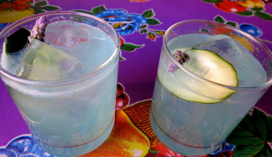 Na denn - prost! Der Coctel schmeckt wunderbar!